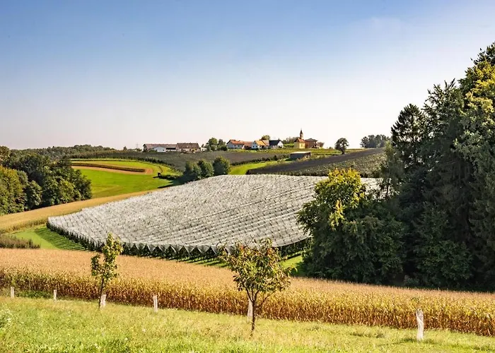 酒店 Oeko-neubau - Kogelbuch Comfort 3*